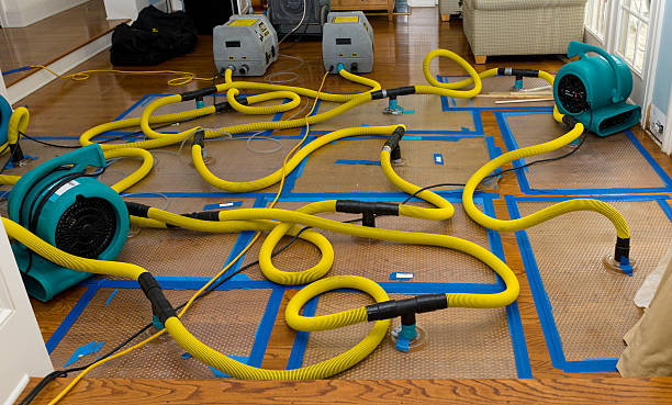 Professional Storm Water Damage Restoration technician working in Thomaston, GA